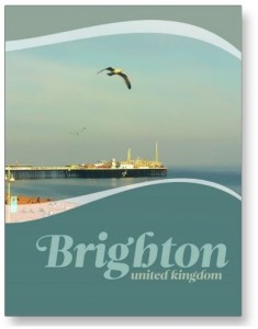 Brighton Pier Seagull Postcard